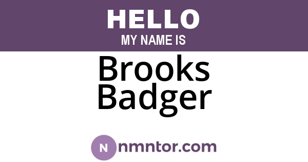 Brooks Badger