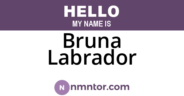 Bruna Labrador