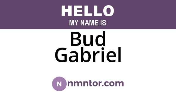 Bud Gabriel