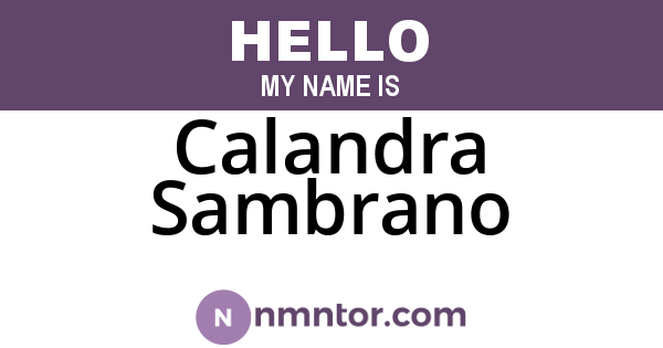 Calandra Sambrano