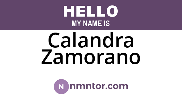 Calandra Zamorano