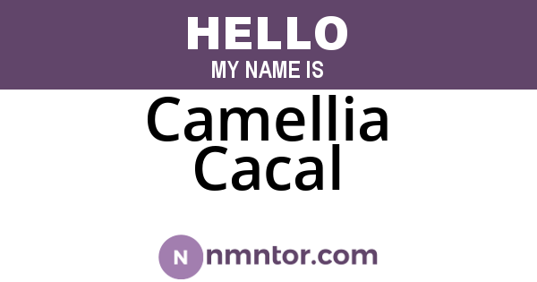Camellia Cacal