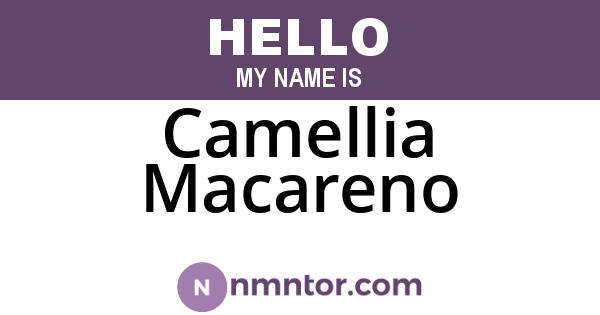 Camellia Macareno