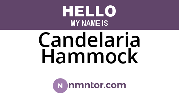 Candelaria Hammock