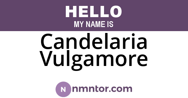 Candelaria Vulgamore