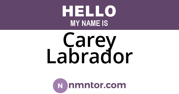 Carey Labrador