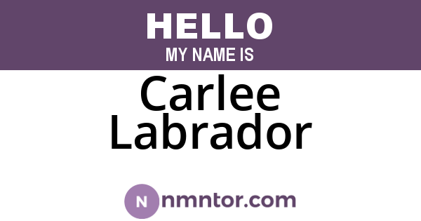 Carlee Labrador
