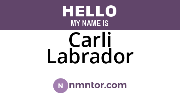 Carli Labrador