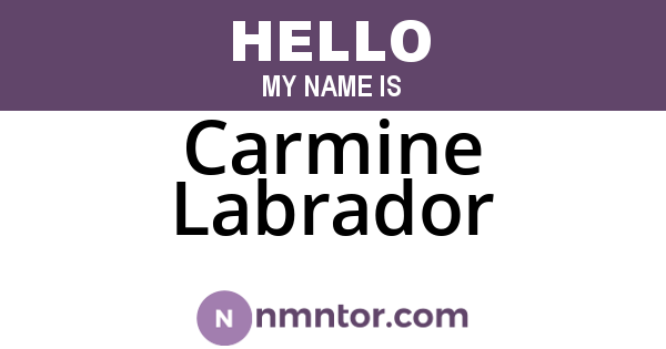 Carmine Labrador