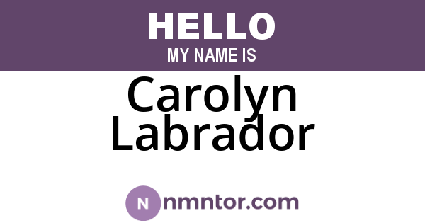 Carolyn Labrador