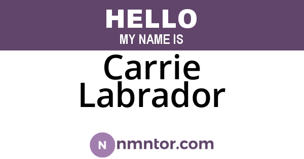 Carrie Labrador