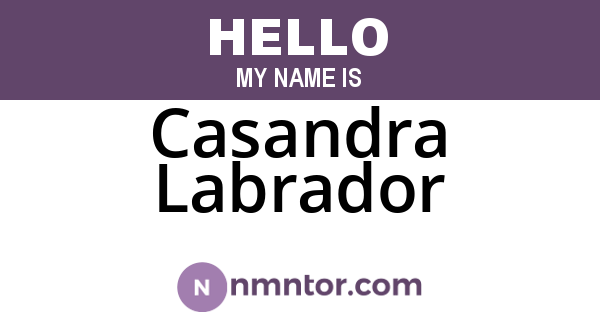 Casandra Labrador