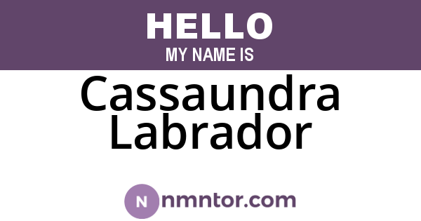 Cassaundra Labrador