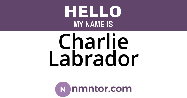 Charlie Labrador