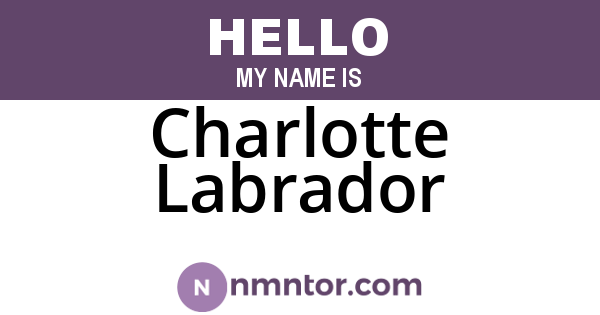 Charlotte Labrador