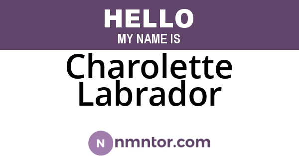 Charolette Labrador
