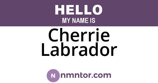Cherrie Labrador