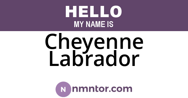 Cheyenne Labrador