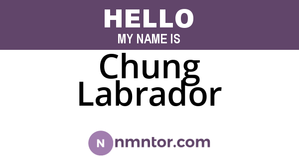 Chung Labrador