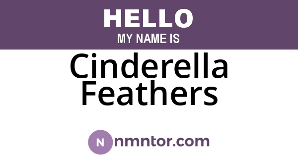 Cinderella Feathers