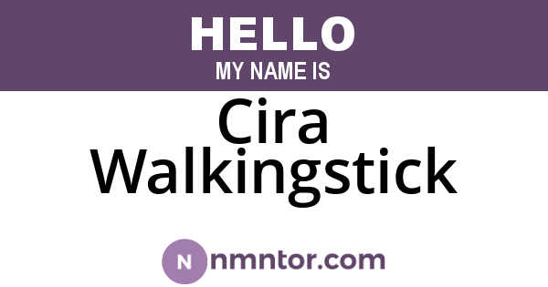 Cira Walkingstick