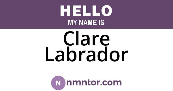 Clare Labrador
