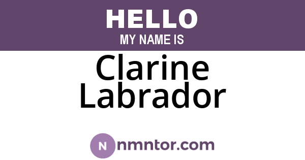 Clarine Labrador