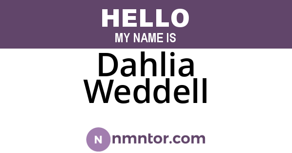 Dahlia Weddell