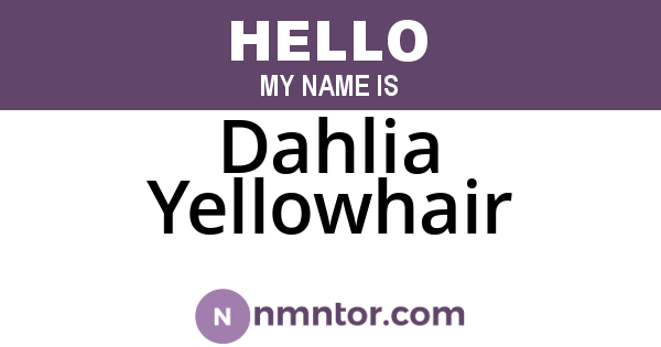 Dahlia Yellowhair