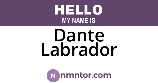 Dante Labrador