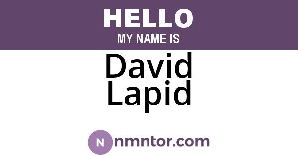 David Lapid