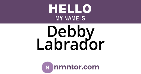 Debby Labrador