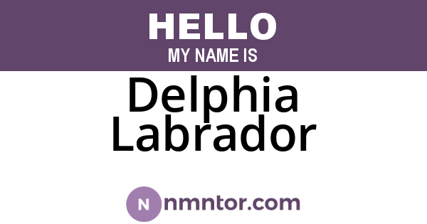 Delphia Labrador