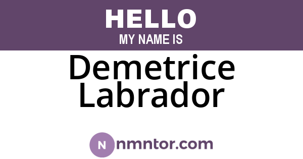 Demetrice Labrador