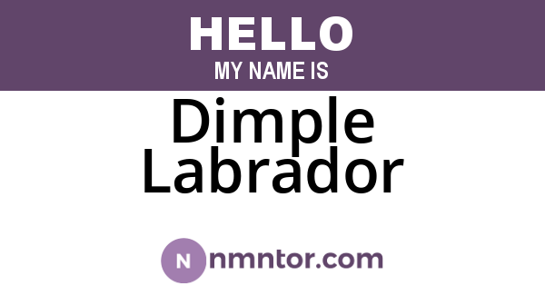 Dimple Labrador