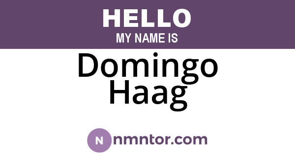 Domingo Haag