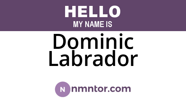 Dominic Labrador