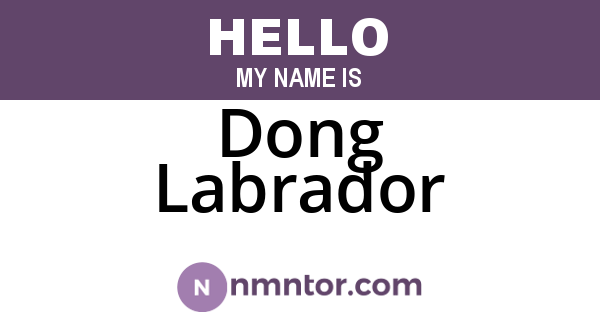 Dong Labrador