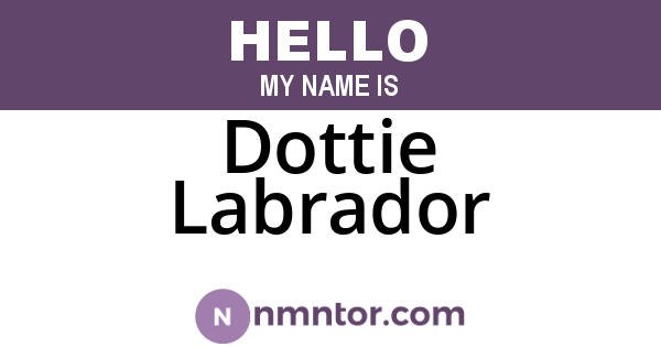 Dottie Labrador