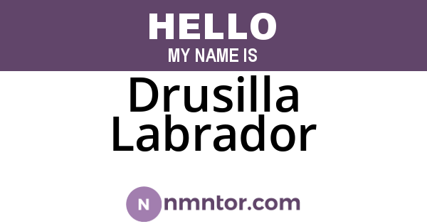 Drusilla Labrador