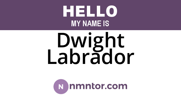 Dwight Labrador