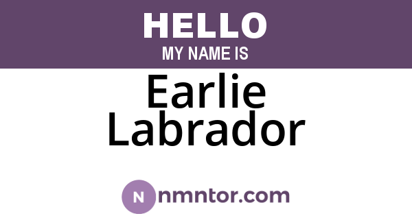 Earlie Labrador