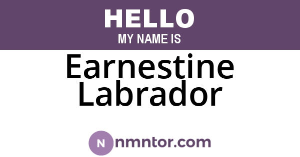 Earnestine Labrador