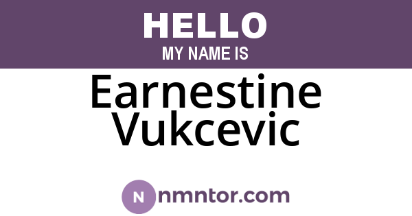 Earnestine Vukcevic