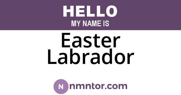Easter Labrador