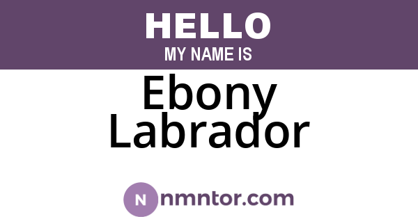 Ebony Labrador