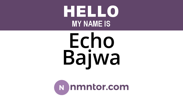 Echo Bajwa