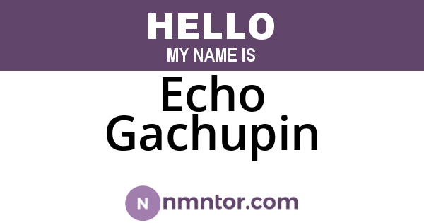 Echo Gachupin