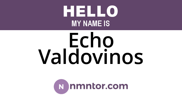 Echo Valdovinos
