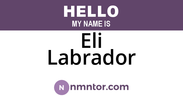 Eli Labrador